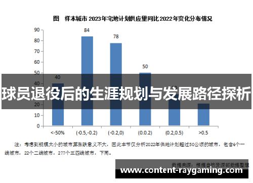 球员退役后的生涯规划与发展路径探析