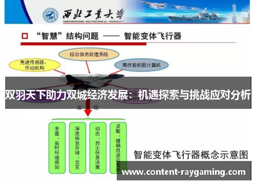 双羽天下助力双城经济发展：机遇探索与挑战应对分析