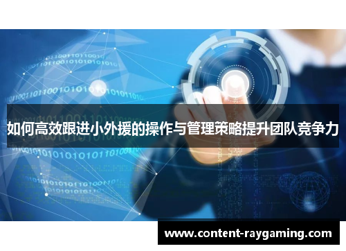 如何高效跟进小外援的操作与管理策略提升团队竞争力