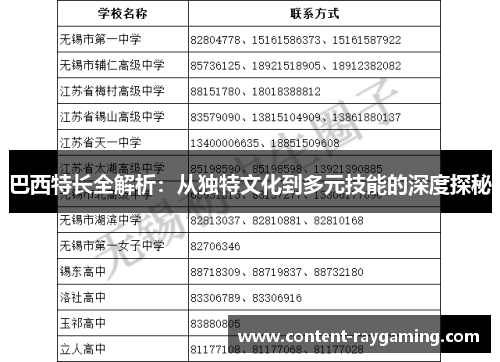 巴西特长全解析:从独特文化到多元技能的深度探秘
