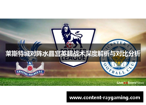 莱斯特城对阵水晶宫英超战术深度解析与对比分析 莱斯特城对阵水晶宫英超战术深度解析与对比分析