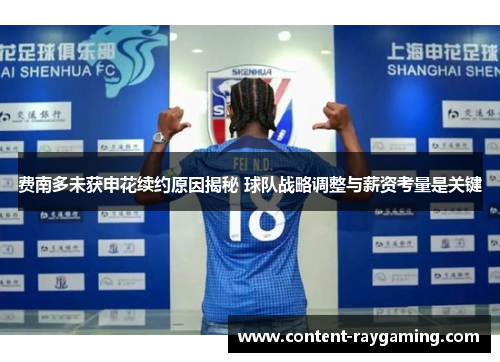 费南多未获申花续约原因揭秘 球队战略调整与薪资考量是关键 费南多未获申花续约原因揭秘 球队战略调整与薪资考量是关键