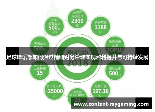 足球俱乐部如何通过精细财务管理实现盈利提升与可持续发展
