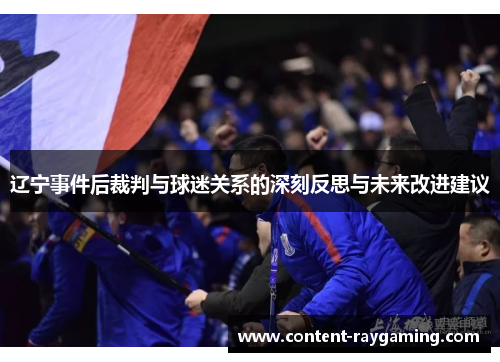 辽宁事件后裁判与球迷关系的深刻反思与未来改进建议